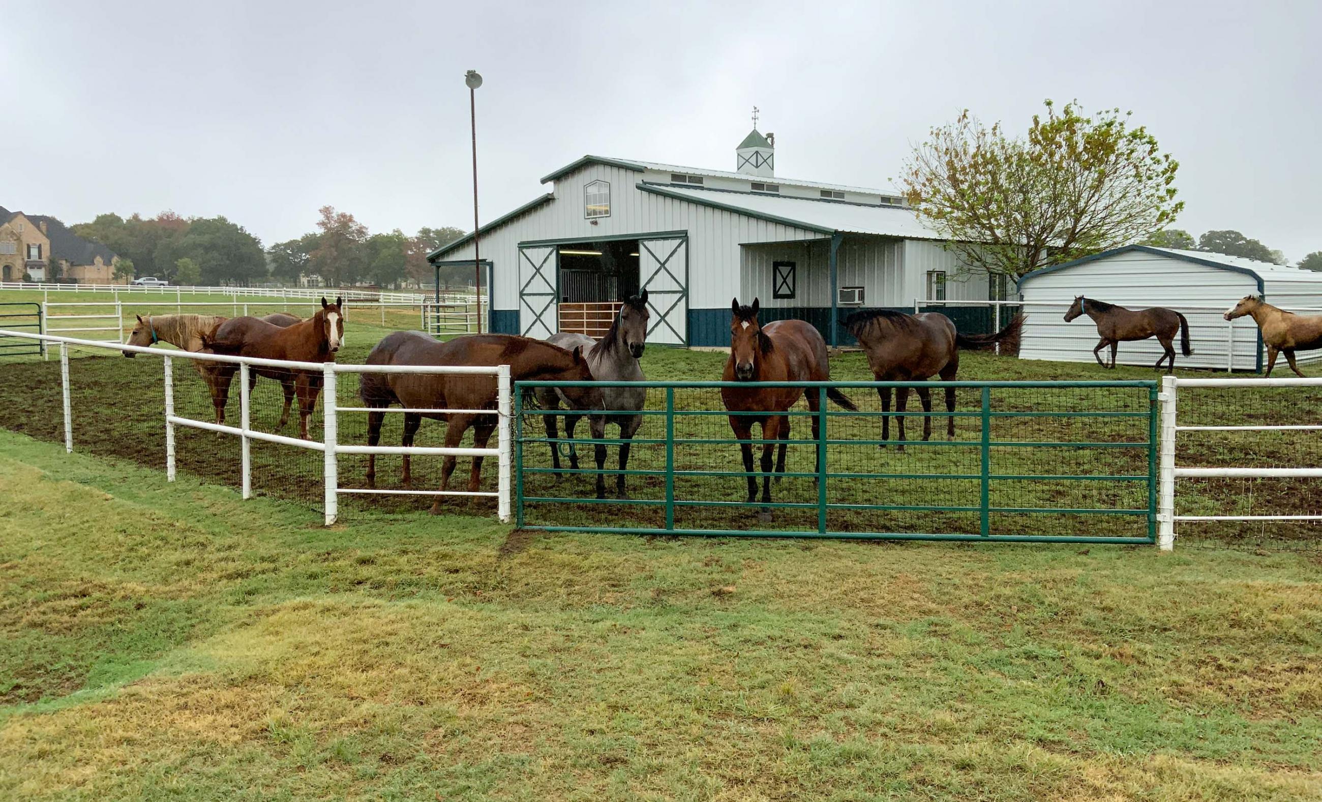 Argyle Equestrian Estate Chas S. Middleton